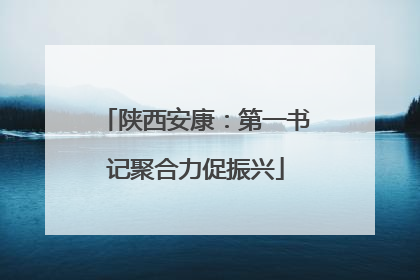 陕西安康：第一书记聚合力促振兴